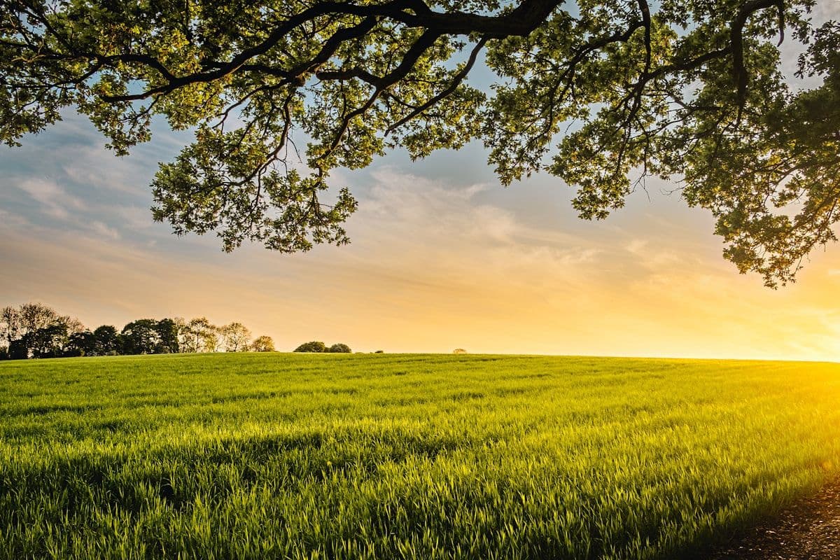 Sustaining the Abundance Loop
